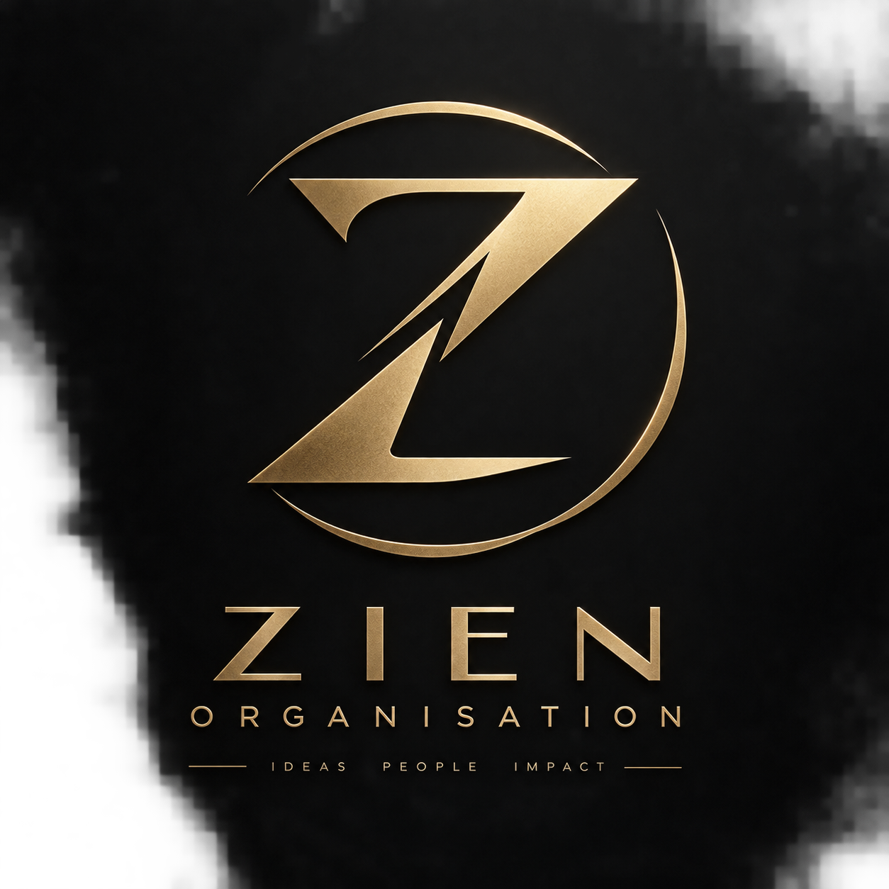 ZIEN Organisation